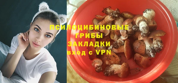 скорость Осинники